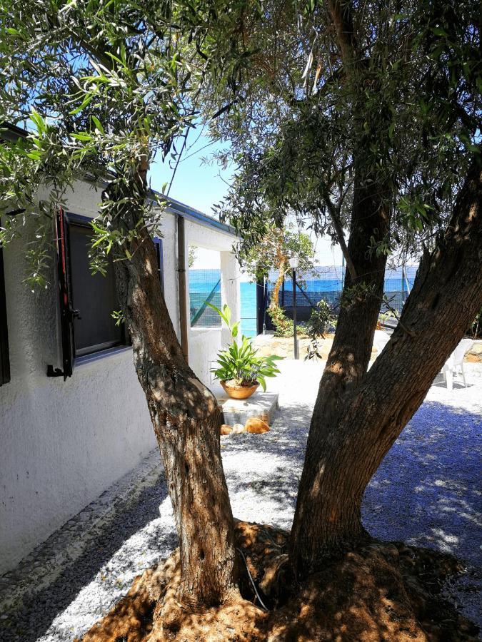 Villa La Plaja Cefalu Ngoại thất bức ảnh